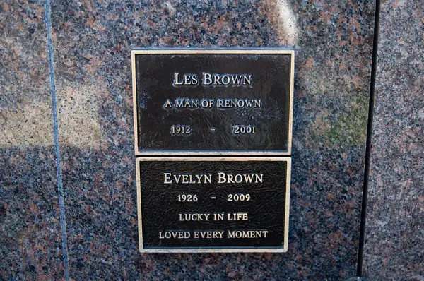 Brown Les by SpecialK