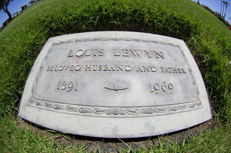 Lewyn Louis