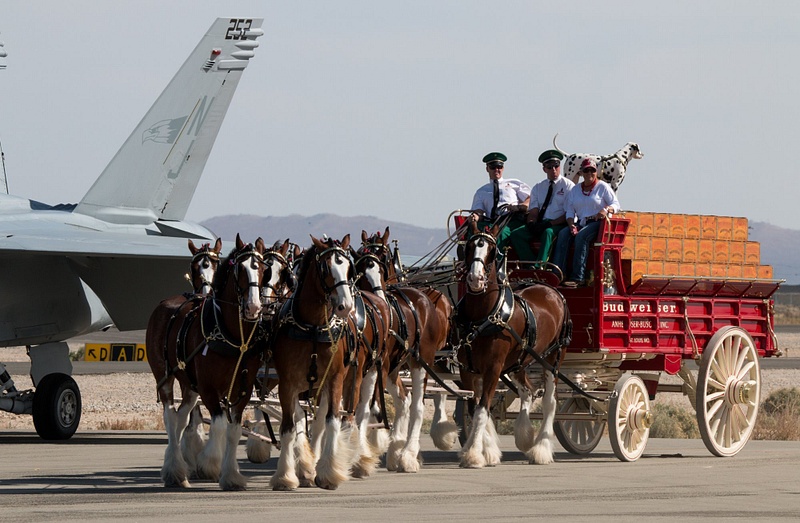 150322-4612Clydesdales