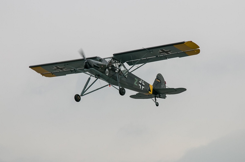 160109-9703Storch