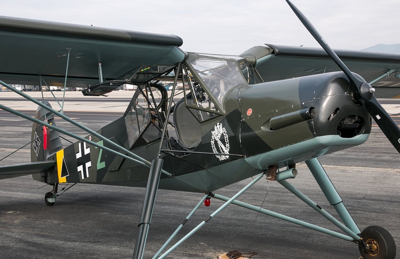 160109-9521Storch