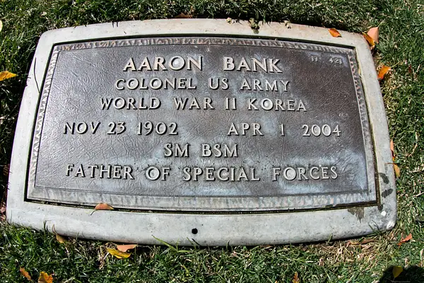 Bank Aaron by SpecialK