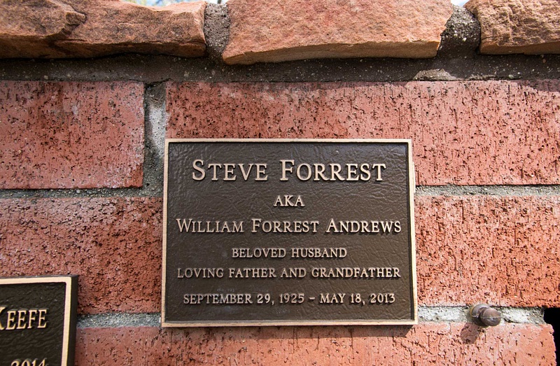 Forrest Steve
