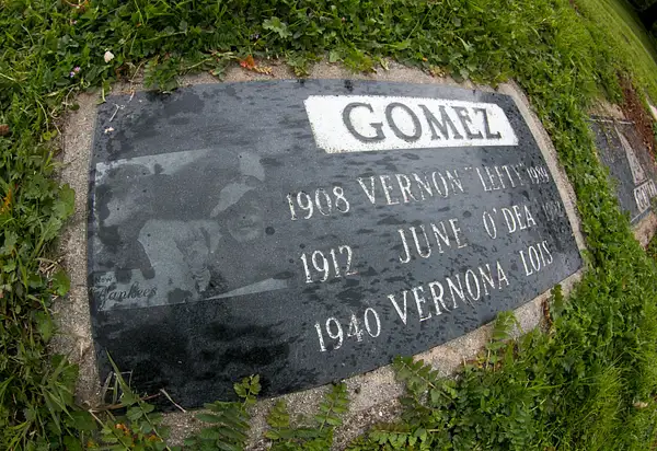 Gomez Vernon by SpecialK