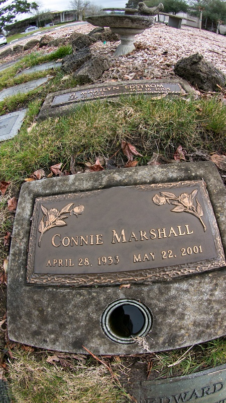 Marshall Connie