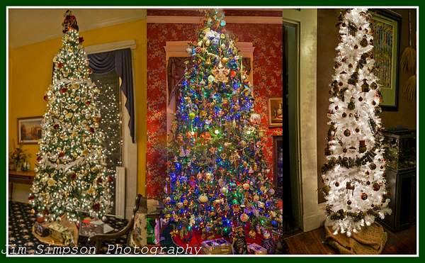 Christmas Trees by jimsimp3
