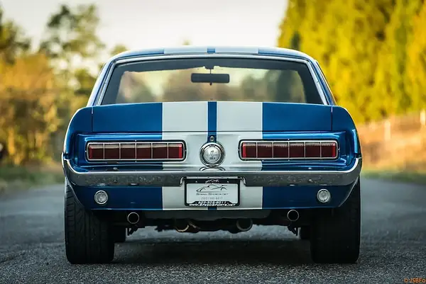 1967-Mustang-GT-350-Tribute-Speed-Sports-JsbFoto-Portland...