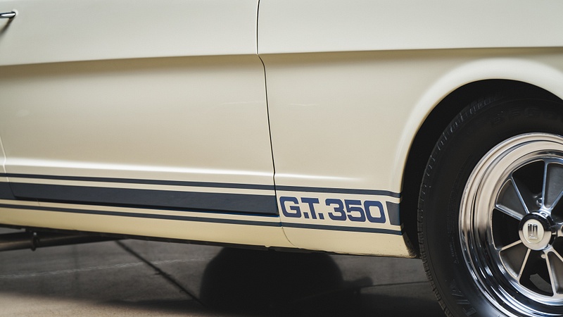 Web 50072 65 Shelby GT350-52