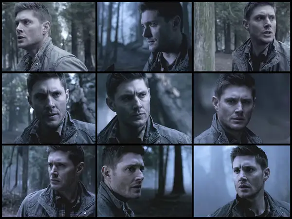 SPN1019PurgatoryDeanCollage by Val S.