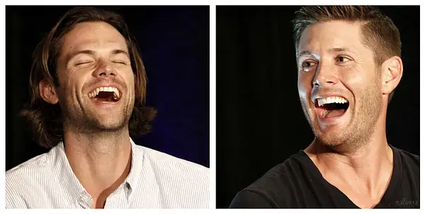 J2LaughingVanCon2014Collage by Val S.