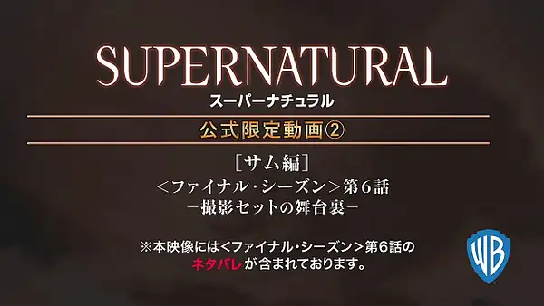 Japan SPN Spot 02 Caps by Val S. by Val S.