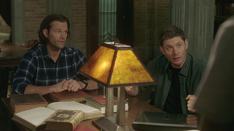 SPN1513_HLCaps_0147