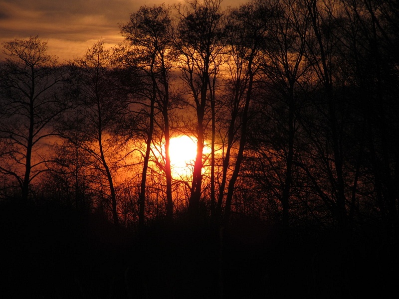 Kalinowo - zachód słońca