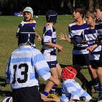 Lane Cove Rugby 18 May 2013