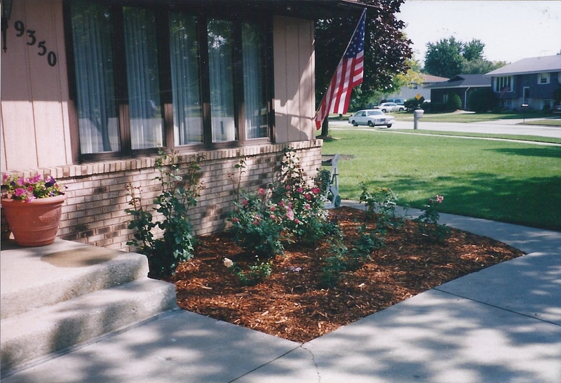 New landscaping 2001