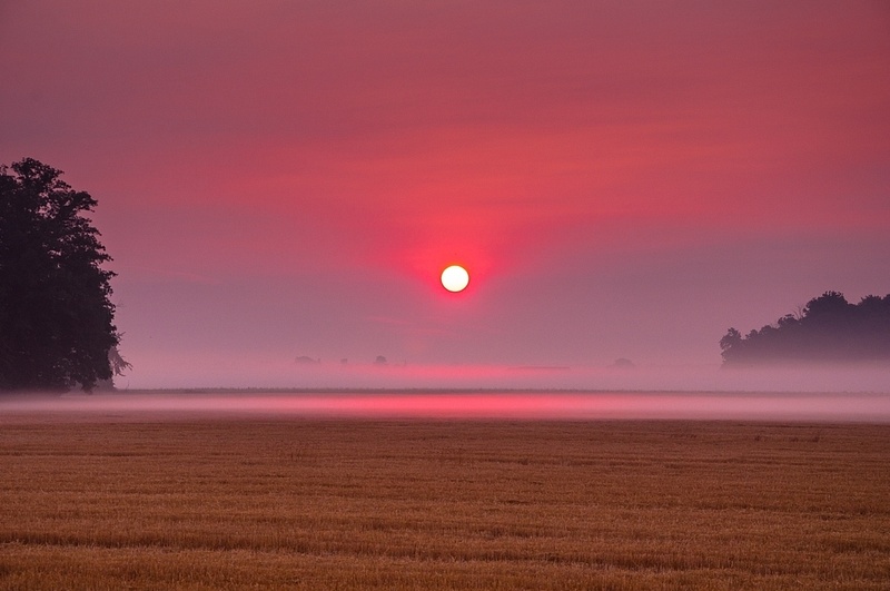 Foggy Sunrise over a Monroe County Farm