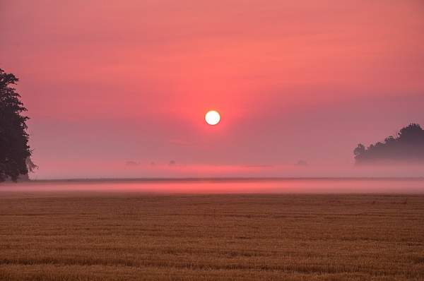 Sunrise over a freshly cut Wheat Field in Monroe County,...