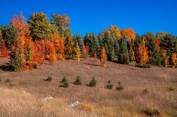 Fall Colors in Northern Michigan by SDNowakowski