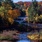 2015 Fall Colors @ Tahquamenon Falls State Park in the Upper Peninsula of Michigan
