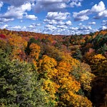 2015 Fall Colors @ Tahquamenon Falls State Park in The Upper Peninsula of Michigan
