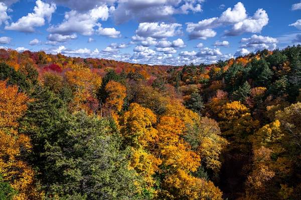 2015 Fall Colors @ Tahquamenon Falls State Park in The...