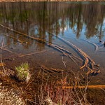 2016 Walton's Pond @ Walton's Junction in Northern Michigan