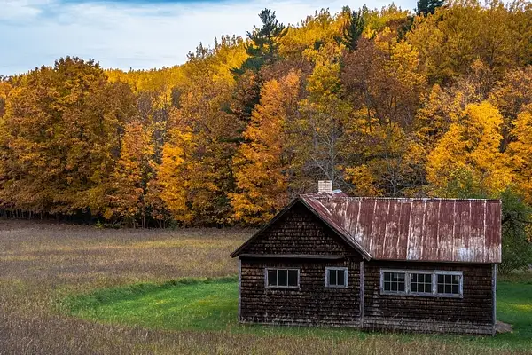 Fall Colors on the Farm by SDNowakowski