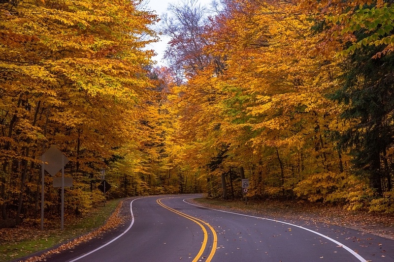 Fall Color Drive