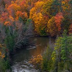 2017 Fall Colors along The Manistee River in Northern Michigan.