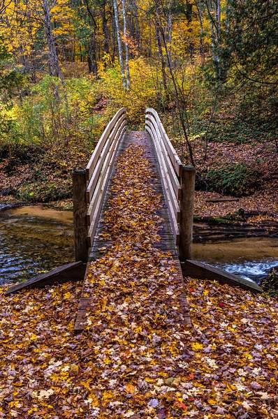2018 Fall Colors along the North Country Trail on the...