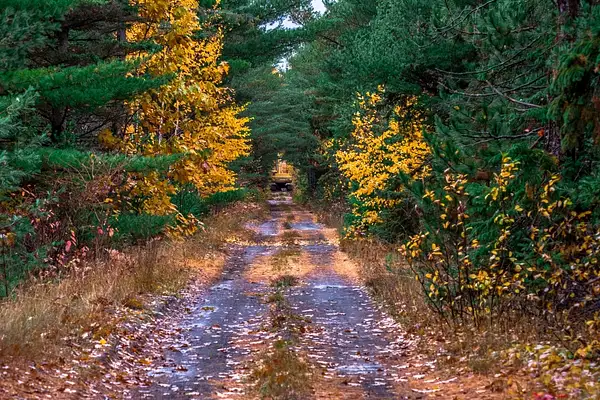 Rail/Trail Fall Colors by SDNowakowski