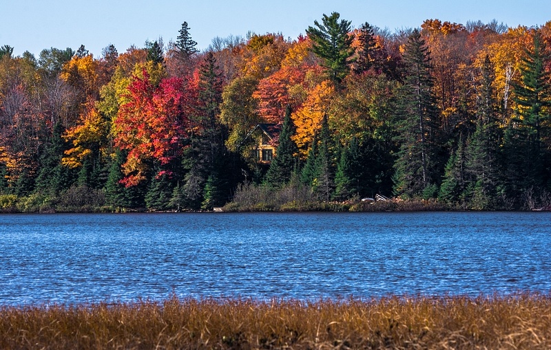 Fall Colors Across The Lake