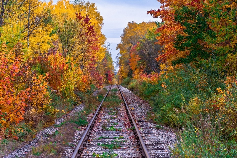 Rail Line In Color