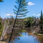 2016 Springtime on Manistee River. These pictures were taken with a D90