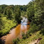 2016 Little Manistee River on a sunny day in July
