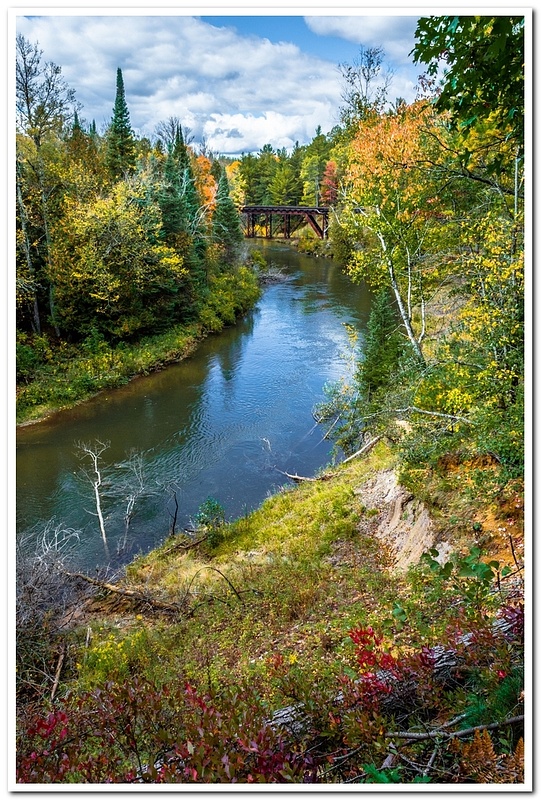 Manistee River fall Colors