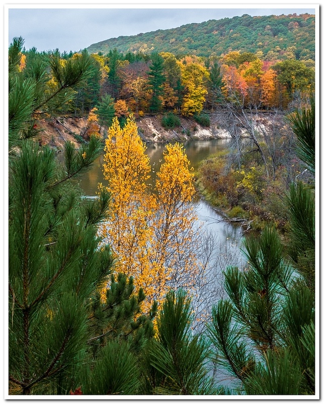 Manistee River Fall Colors