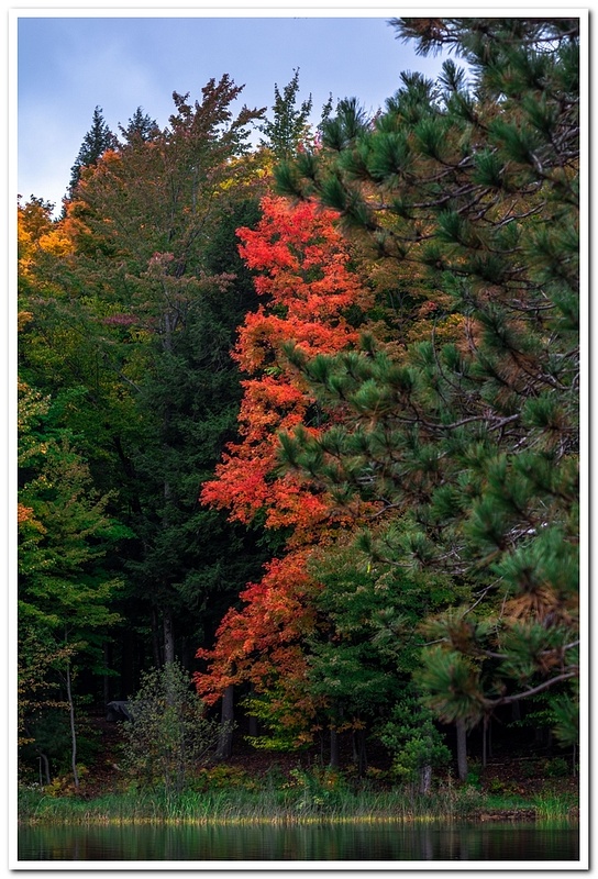 Fall Colors across Dayhoff Lake