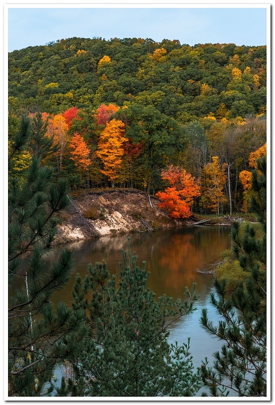 Fall Colors Along The Manistee River