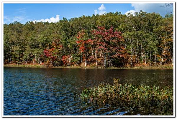 2020 Fall Colors @ Highbanks Lake Campground by...