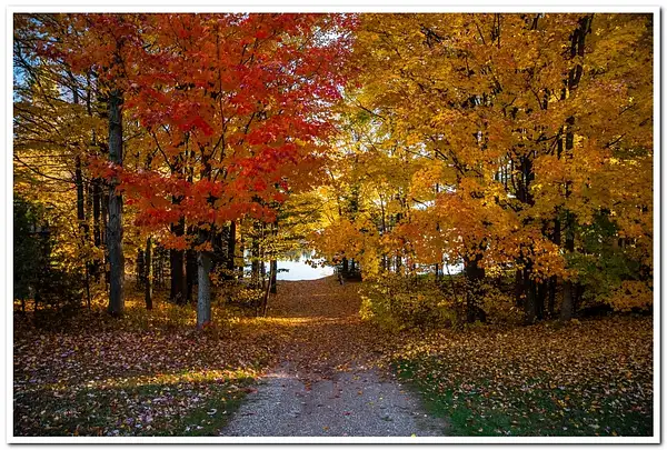 Fall Colors at Dayhoff Lake by SDNowakowski