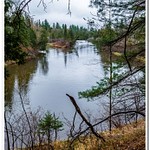 2021 Manistee River Pics and 2020 Manistee River Panoramic Pictures