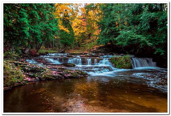 2021 Fall Colors @ The Falls River by SDNowakowski