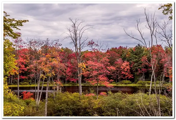 Fall colors around a small pond by SDNowakowski