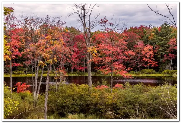 2021 D3500 Fall Colors 115-Manistee NEF to DNG _10-FS_2...