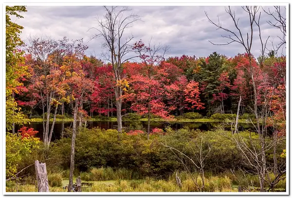 2021 D3500 Fall Colors 115-Manistee NEF to DNG _2-FS2_2...