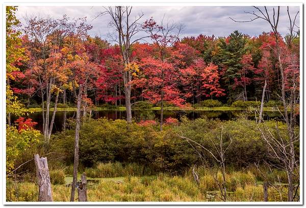 2021 Fall Colors along M-115 and Manistee River by...