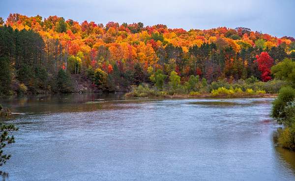 2022 Manistee River Fall Colors in October by...