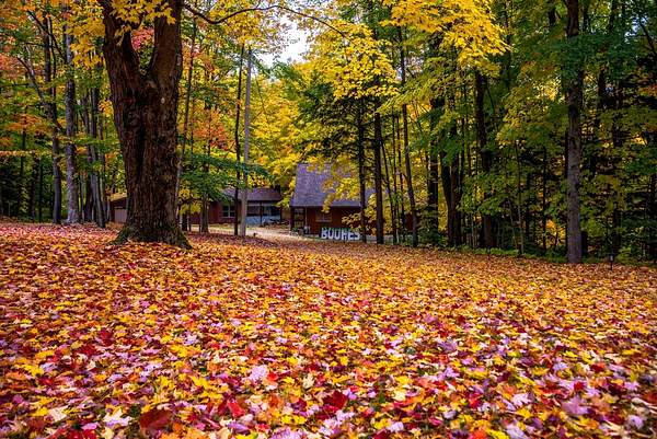 2022 Meauwataka Area Fall Colors in October by...