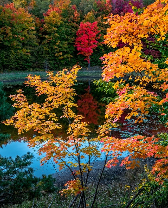 Fall Colors _DSC0444-FS2
